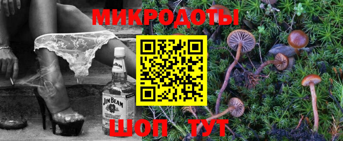 сколько стоит  Галлюциногенные грибы Psilocybe  Псилоцибиновые грибы Psilocybine cubensis  Вход с VPN  Буйнакск 